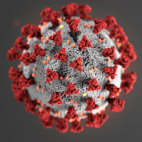 Picture of COVID-19 virus